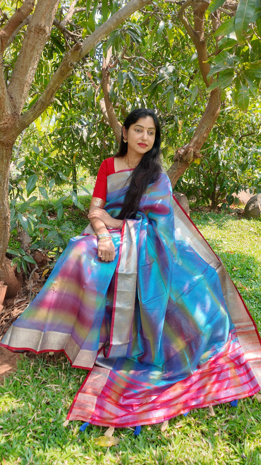 Semi Kanchi Organza Saree